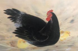北洋雄鹰,翱翔于风云变幻的民国天空