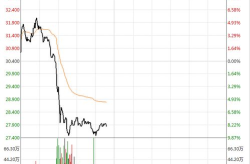 000718资金流向,揭秘资金动向背后的投资机遇