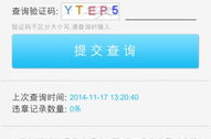 查违章,全方位交通违章信息解析