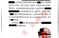 刑事法律意见书,刑事法律意见书要点解析与案例分析