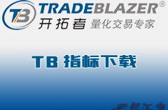 tb交易开拓者,揭秘电商新势力崛起之路