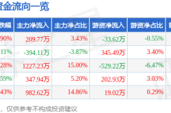 002372股票股票行情快报：伟星新材（002372）5月29日主力资金净买入20977万元