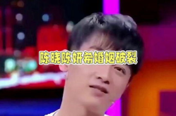 娱乐圈吃瓜陈晓是谁,陈晓离婚事件引发热议